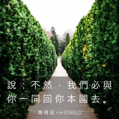Picture 03 - 路 得 記 1:10 CUVT - 說 ： 不 然 ， 我 們 必 與 你 一 同 - Bible Verse Picture