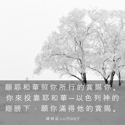Picture 03 - 路 得 記 2:12 CUVT - 願 耶 和 華 照 你 所 行 的 賞 賜 你 - Bible Verse Picture