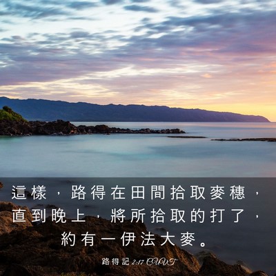 Picture 03 - 路 得 記 2:17 CUVT - 這 樣 ， 路 得 在 田 間 拾 取 麥 穗 - Bible Verse Picture