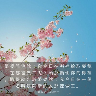 Picture 03 - 路 得 記 2:19 CUVT - 婆 婆 問 他 說 ： 你 今 日 在 哪 裡 - Bible Verse Picture