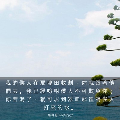 Picture 03 - 路 得 記 2:9 CUVT - 我 的 僕 人 在 那 塊 田 收 割 ， 你 - Bible Verse Picture