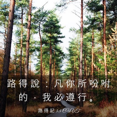 Picture 03 - 路 得 記 3:5 CUVT - 路 得 說 ： 凡 你 所 吩 咐 的 ， 我 - Bible Verse Picture