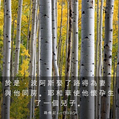 Picture 03 - 路 得 記 4:13 CUVT - 於 是 ， 波 阿 斯 娶 了 路 得 為 妻 - Bible Verse Picture