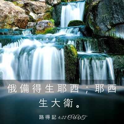 Picture 03 - 路 得 記 4:22 CUVT - 俄 備 得 生 耶 西 ； 耶 西 生 大 衛 - Bible Verse Picture