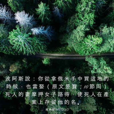 Picture 03 - 路 得 記 4:5 CUVT - 波 阿 斯 說 ： 你 從 拿 俄 米 手 中 - Bible Verse Picture