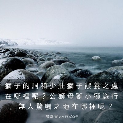 Picture 03 - 那 鴻 書 2:11 CUVT - 獅 子 的 洞 和 少 壯 獅 子 餵 養 之 - Bible Verse Picture