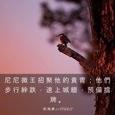 Picture 03 - 那 鴻 書 2:5 CUVT - 尼 尼 微 王 招 聚 他 的 貴 冑 ； 他 - Bible Verse Picture