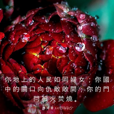 Picture 03 - 那 鴻 書 3:13 CUVT - 你 地 上 的 人 民 如 同 婦 女 ； 你 - Bible Verse Picture