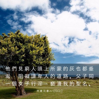 Picture 03 - 阿 摩 司 書 2:7 CUVT - 他 們 見 窮 人 頭 上 所 蒙 的 灰 也 - Bible Verse Picture