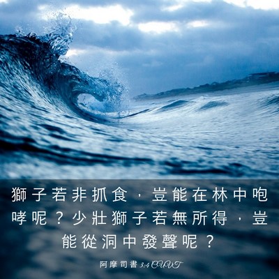 Picture 03 - 阿 摩 司 書 3:4 CUVT - 獅 子 若 非 抓 食 ， 豈 能 在 林 中 - Bible Verse Picture