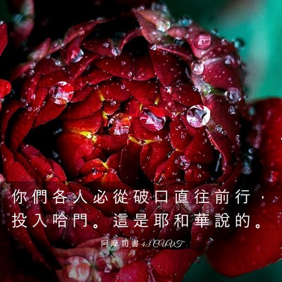 Picture 03 - 阿 摩 司 書 4:3 CUVT - 你 們 各 人 必 從 破 口 直 往 前 行 - Bible Verse Picture