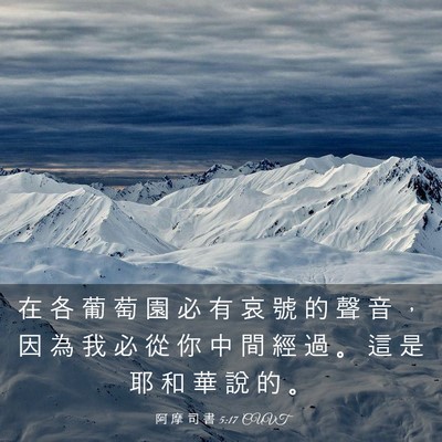 Picture 03 - 阿 摩 司 書 5:17 CUVT - 在 各 葡 萄 園 必 有 哀 號 的 聲 音 - Bible Verse Picture