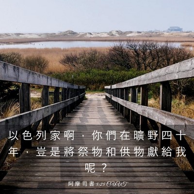 Picture 03 - 阿 摩 司 書 5:25 CUVT - 以 色 列 家 啊 ， 你 們 在 曠 野 四 - Bible Verse Picture