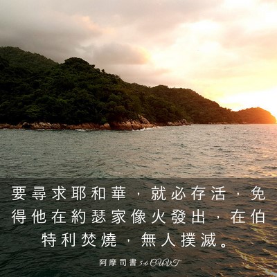 Picture 03 - 阿 摩 司 書 5:6 CUVT - 要 尋 求 耶 和 華 ， 就 必 存 活 ， - Bible Verse Picture