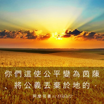 Picture 03 - 阿 摩 司 書 5:7 CUVT - 你 們 這 使 公 平 變 為 茵 蔯 、 將 - Bible Verse Picture
