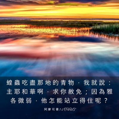 Picture 03 - 阿 摩 司 書 7:2 CUVT - 蝗 蟲 吃 盡 那 地 的 青 物 ， 我 就 - Bible Verse Picture
