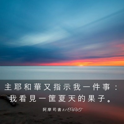 Picture 03 - 阿 摩 司 書 8:1 CUVT - 主 耶 和 華 又 指 示 我 一 件 事 ： - Bible Verse Picture