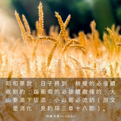 Picture 03 - 阿 摩 司 書 9:13 CUVT - 耶 和 華 說 ： 日 子 將 到 ， 耕 種 - Bible Verse Picture