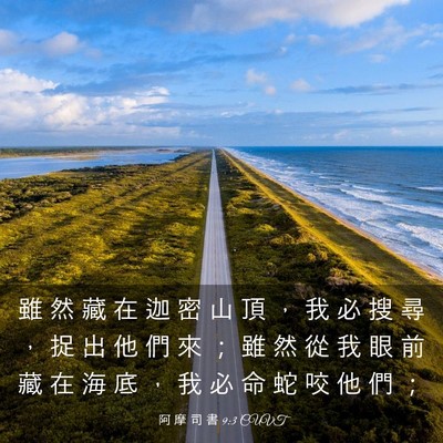 Picture 03 - 阿 摩 司 書 9:3 CUVT - 雖 然 藏 在 迦 密 山 頂 ， 我 必 搜 - Bible Verse Picture