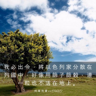 Picture 03 - 阿 摩 司 書 9:9 CUVT - 我 必 出 令 ， 將 以 色 列 家 分 散 - Bible Verse Picture