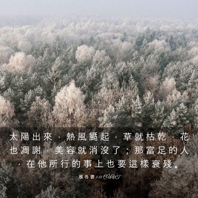 Picture 03 - 雅 各 書 1:11 CUVT - 太 陽 出 來 ， 熱 風 颳 起 ， 草 就 - Bible Verse Picture