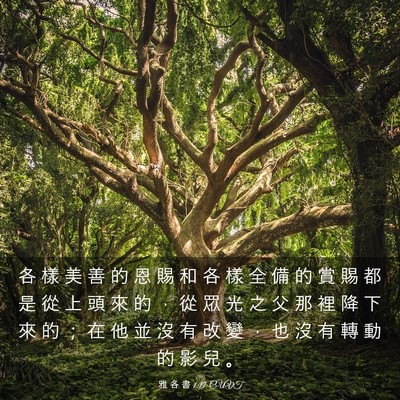 Picture 03 - 雅 各 書 1:17 CUVT - 各 樣 美 善 的 恩 賜 和 各 樣 全 備 - Bible Verse Picture