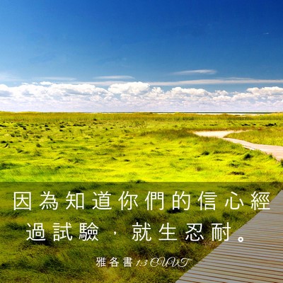 Picture 03 - 雅 各 書 1:3 CUVT - 因 為 知 道 你 們 的 信 心 經 過 試 - Bible Verse Picture