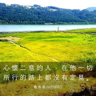 Picture 03 - 雅 各 書 1:8 CUVT - 心 懷 二 意 的 人 ， 在 他 一 切 所 - Bible Verse Picture