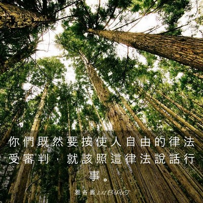 Picture 03 - 雅 各 書 2:12 CUVT - 你 們 既 然 要 按 使 人 自 由 的 律 - Bible Verse Picture