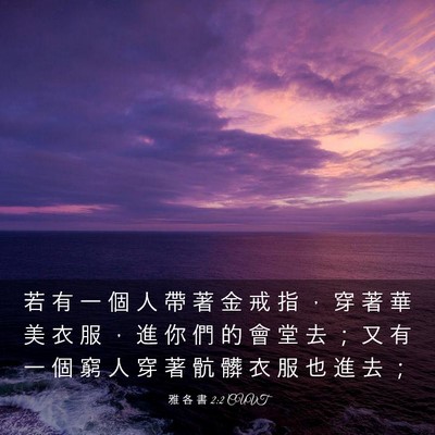 Picture 03 - 雅 各 書 2:2 CUVT - 若 有 一 個 人 帶 著 金 戒 指 ， 穿 - Bible Verse Picture