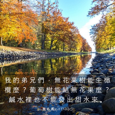 Picture 03 - 雅 各 書 3:12 CUVT - 我 的 弟 兄 們 ， 無 花 果 樹 能 生 - Bible Verse Picture