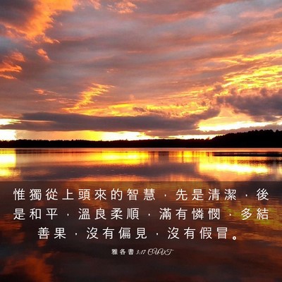 Picture 03 - 雅 各 書 3:17 CUVT - 惟 獨 從 上 頭 來 的 智 慧 ， 先 是 - Bible Verse Picture