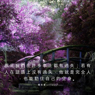 Picture 03 - 雅 各 書 3:2 CUVT - 原 來 我 們 在 許 多 事 上 都 有 過 - Bible Verse Picture