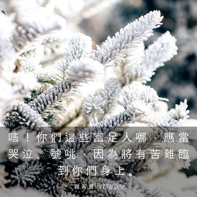 Picture 03 - 雅 各 書 5:1 CUVT - 嗐 ！ 你 們 這 些 富 足 人 哪 ， 應 - Bible Verse Picture