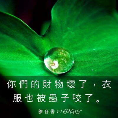 Picture 03 - 雅 各 書 5:2 CUVT - 你 們 的 財 物 壞 了 ， 衣 服 也 被 - Bible Verse Picture