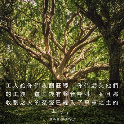 Picture 03 - 雅 各 書 5:4 CUVT - 工 人 給 你 們 收 割 莊 稼 ， 你 們 - Bible Verse Picture