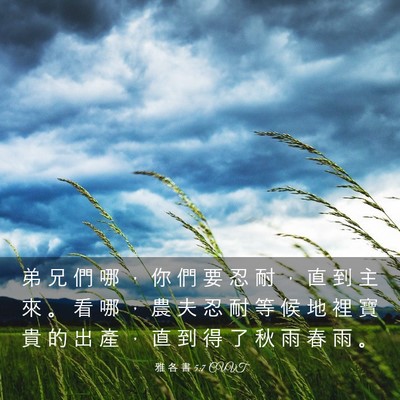 Picture 03 - 雅 各 書 5:7 CUVT - 弟 兄 們 哪 ， 你 們 要 忍 耐 ， 直 - Bible Verse Picture