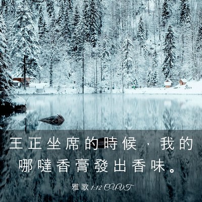 Picture 03 - 雅 歌 1:12 CUVT - 王 正 坐 席 的 時 候 ， 我 的 哪 噠 - Bible Verse Picture