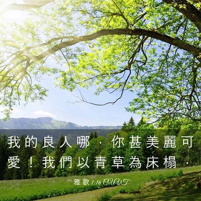 Picture 03 - 雅 歌 1:16 CUVT - 我 的 良 人 哪 ， 你 甚 美 麗 可 愛 - Bible Verse Picture