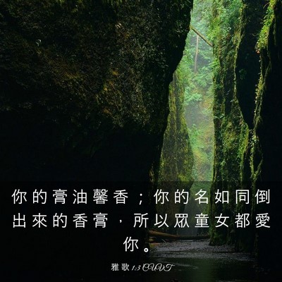 Picture 03 - 雅 歌 1:3 CUVT - 你 的 膏 油 馨 香 ； 你 的 名 如 同 - Bible Verse Picture