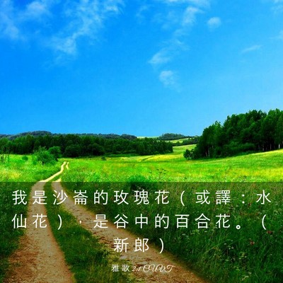 Picture 03 - 雅 歌 2:1 CUVT - 我 是 沙 崙 的 玫 瑰 花 （ 或 譯 ： - Bible Verse Picture