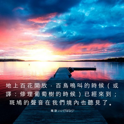 Picture 03 - 雅 歌 2:12 CUVT - 地 上 百 花 開 放 ， 百 鳥 鳴 叫 的 - Bible Verse Picture
