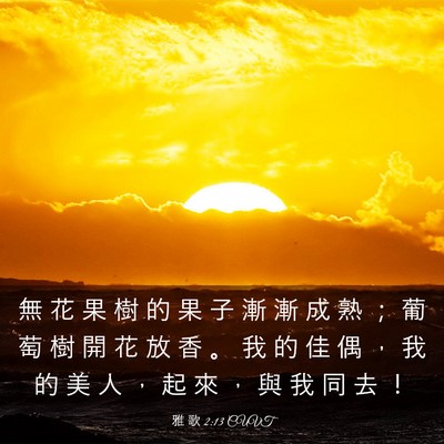 Picture 03 - 雅 歌 2:13 CUVT - 無 花 果 樹 的 果 子 漸 漸 成 熟 ； - Bible Verse Picture