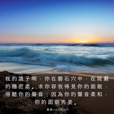 Picture 03 - 雅 歌 2:14 CUVT - 我 的 鴿 子 啊 ， 你 在 磐 石 穴 中 - Bible Verse Picture