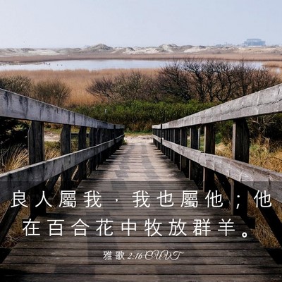 Picture 03 - 雅 歌 2:16 CUVT - 良 人 屬 我 ， 我 也 屬 他 ； 他 在 - Bible Verse Picture