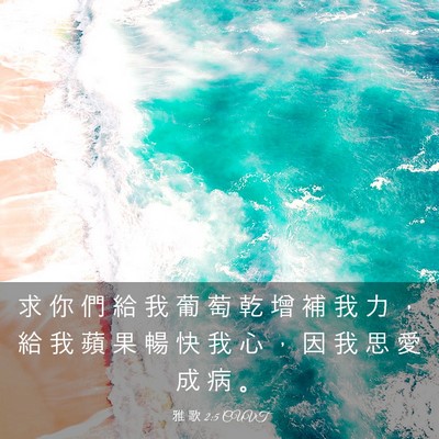 Picture 03 - 雅 歌 2:5 CUVT - 求 你 們 給 我 葡 萄 乾 增 補 我 力 - Bible Verse Picture