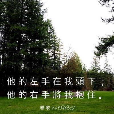 Picture 03 - 雅 歌 2:6 CUVT - 他 的 左 手 在 我 頭 下 ； 他 的 右 - Bible Verse Picture