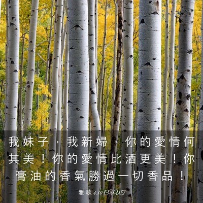 Picture 03 - 雅 歌 4:10 CUVT - 我 妹 子 ， 我 新 婦 ， 你 的 愛 情 - Bible Verse Picture