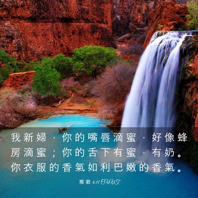 Picture 03 - 雅 歌 4:11 CUVT - 我 新 婦 ， 你 的 嘴 唇 滴 蜜 ， 好 - Bible Verse Picture