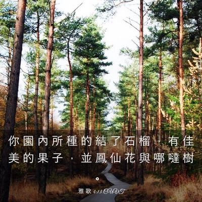 Picture 03 - 雅 歌 4:13 CUVT - 你 園 內 所 種 的 結 了 石 榴 ， 有 - Bible Verse Picture